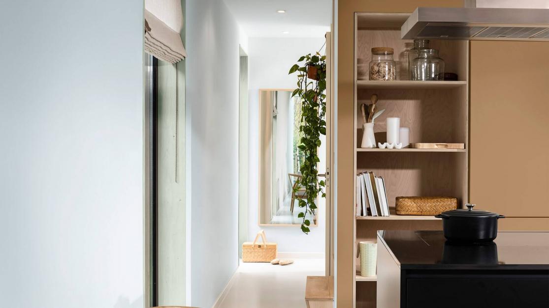  Dulux  Tren Warna  2021 Tranquil  Dawn   Dulux 