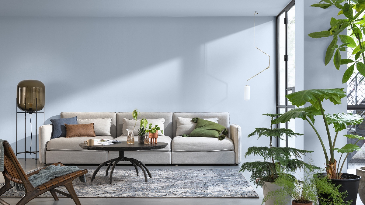 Discover more about Dulux Colour of the Year 2022